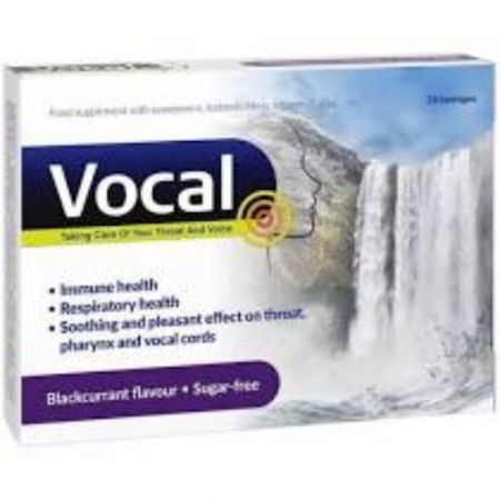 Vocal 24 pastylki do ssania czarna porzeczka