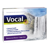 Vocal pastylki do ssania o smaku czarnej porzeczki, 24 szt.