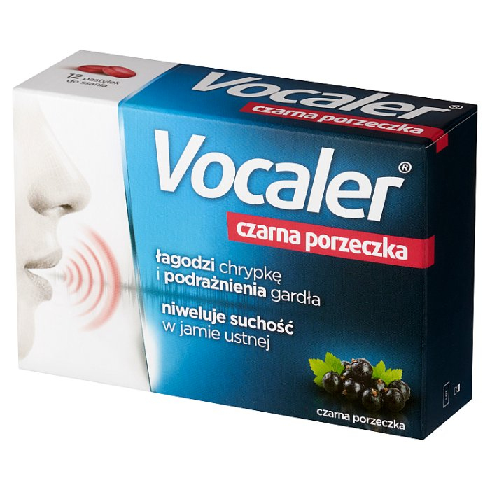 Vocaler czarna porzeczka 12 pastyl.