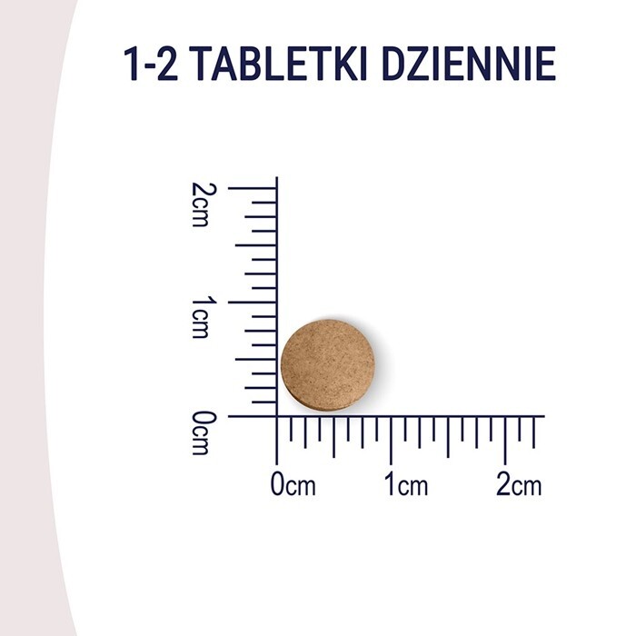 Żeń-szeń Forte tabletki, 60 szt.