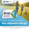 Zyrtec UCB 10 mg 10 tabletek powlekanych (Alergia )